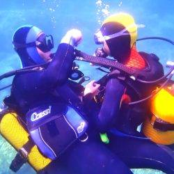 Diving