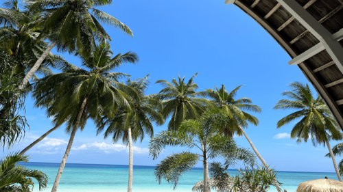 vue-lagon-et-palmier-du-cottage-du-pearl-beach-a-selayar